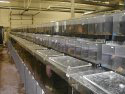 Plastic Fabrication